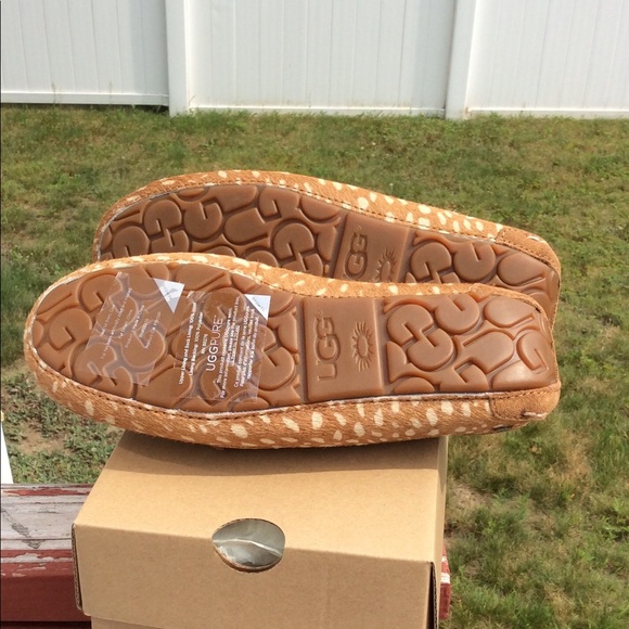 UGG ANSLEY IDYLLYWILD - Picture 5 of 6